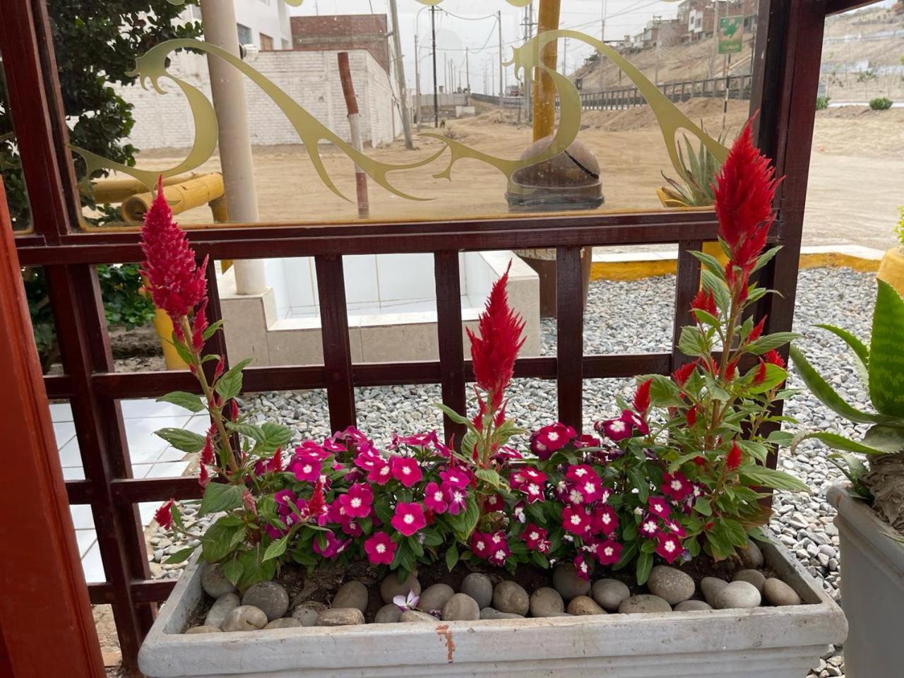 Hostal Ocean Pacifico Пунта-Неґра Екстер'єр фото